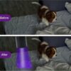 UV Light Torch 12 LED UV Flashlight, 395nm Ultraviolet Blacklight