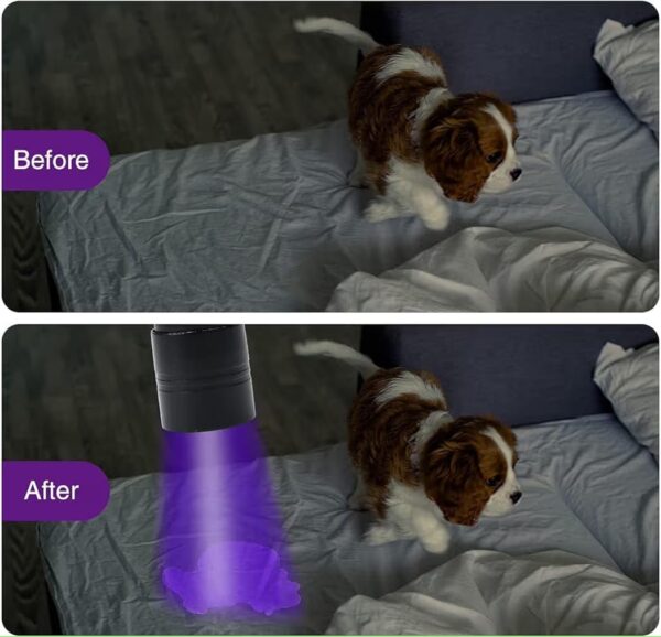 UV Light Torch 12 LED UV Flashlight, 395nm Ultraviolet Blacklight