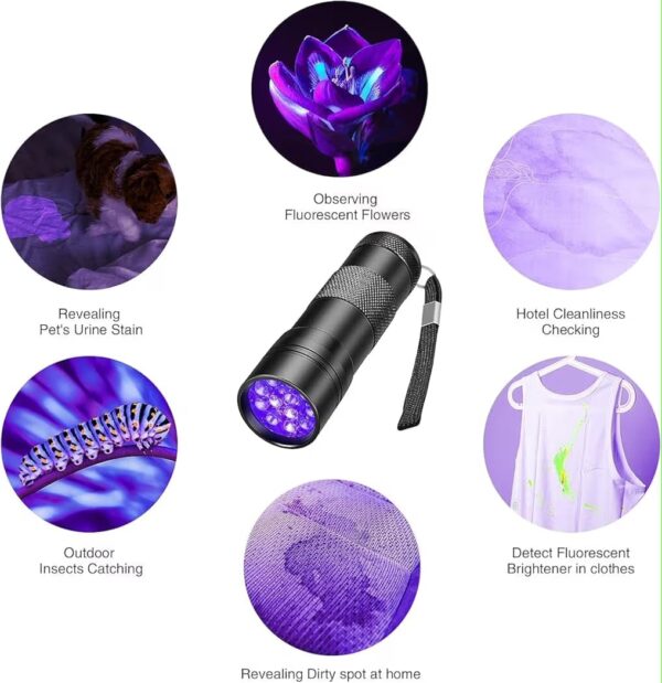 UV Light Torch 12 LED UV Flashlight, 395nm Ultraviolet Blacklight
